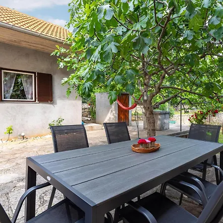 In With Wifi 別荘 *